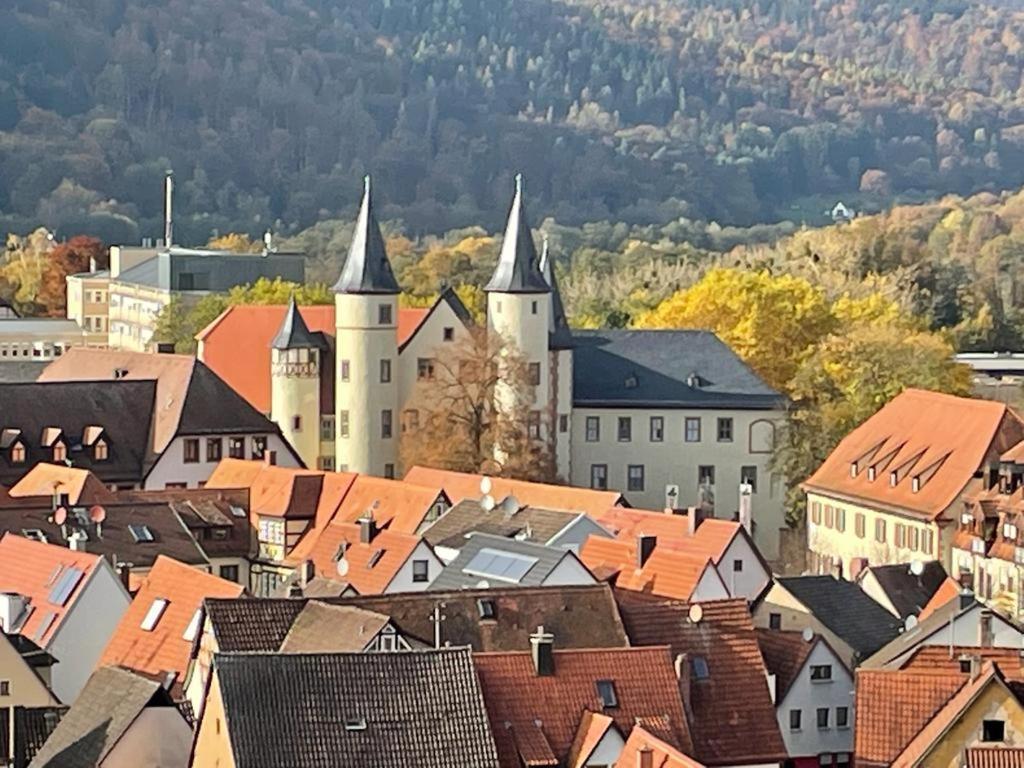 Wohnen Im Springerhof Appartement Lohr Buitenkant foto